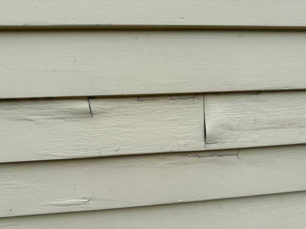 Best Brick Veneer Siding  in Corinth, MS